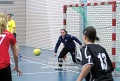 21165 handball_silja
